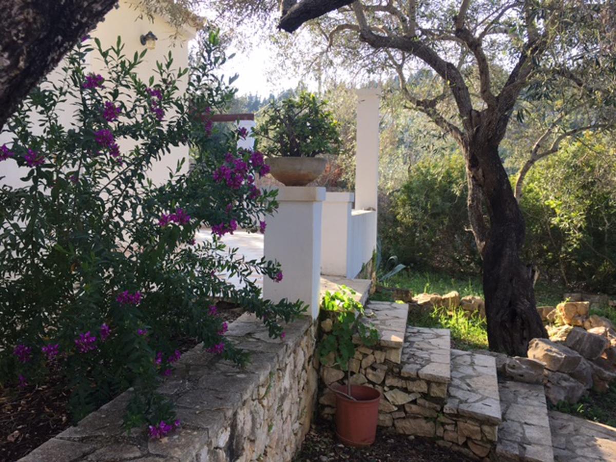 Nereidi Pool Villas Porto Ozias Exterior photo